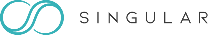 Singularstory